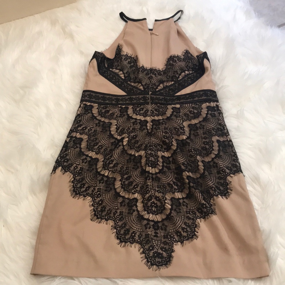 Black and Tan lace Bebe dress - Picture 5 of 5